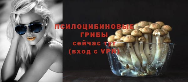 винт Балахна