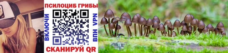Псилоцибиновые грибы MAGIC MUSHROOMS  Жигулёвск 